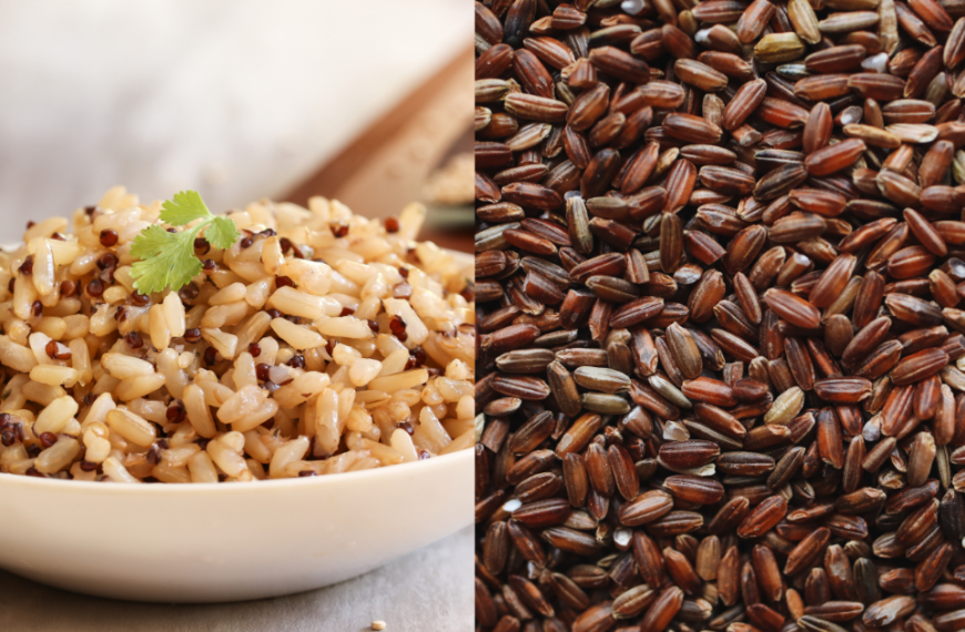 쌀보다 많은 영양소가 있는 ‘현미’의 건강효과 및 영양성분