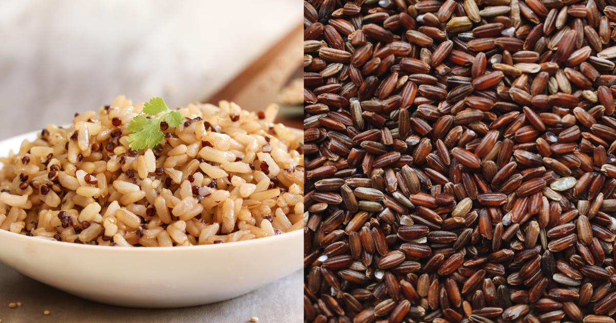 쌀보다 많은 영양소가 있는 ‘현미’의 건강효과 및 영양성분